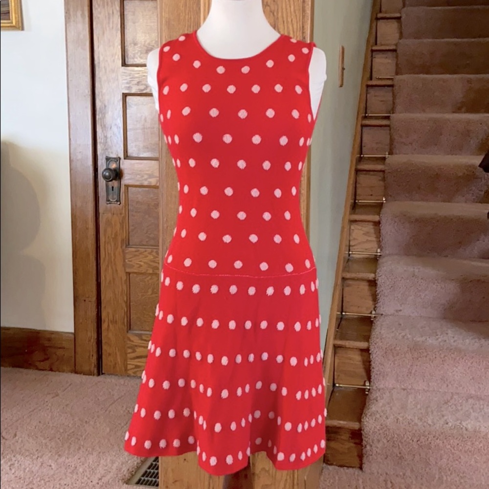 BCBG Dot Sweater Dress